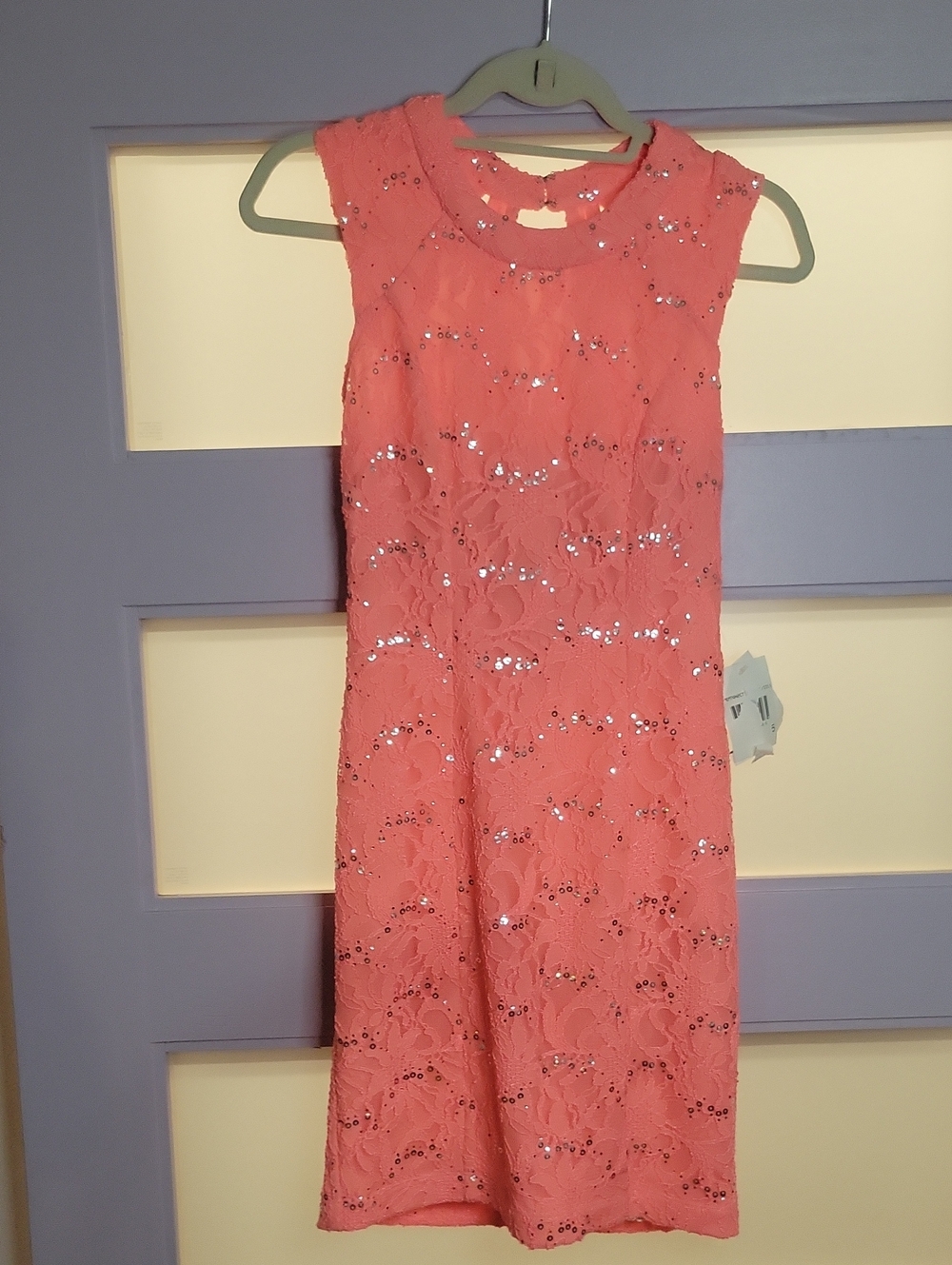 Jodi Kristopher Coral Lace Sequin Sleeveless Dress